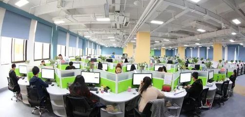 國家科技部火炬中心領導調研永川高新區，強調軟件技術服務創新驅動發展