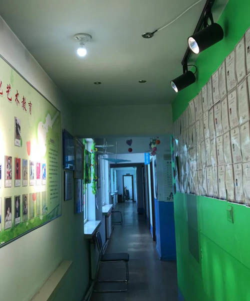 企業(yè)風(fēng)采 內(nèi)蒙古藝之聲教育信息咨詢的卓越之路